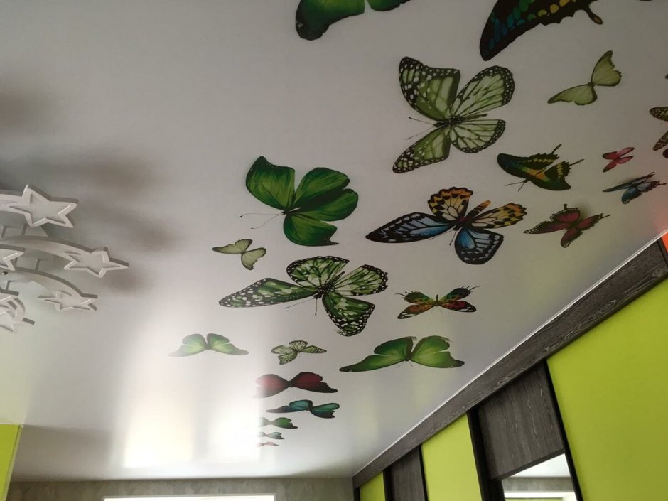 Потолок с бабочкой в интерьере