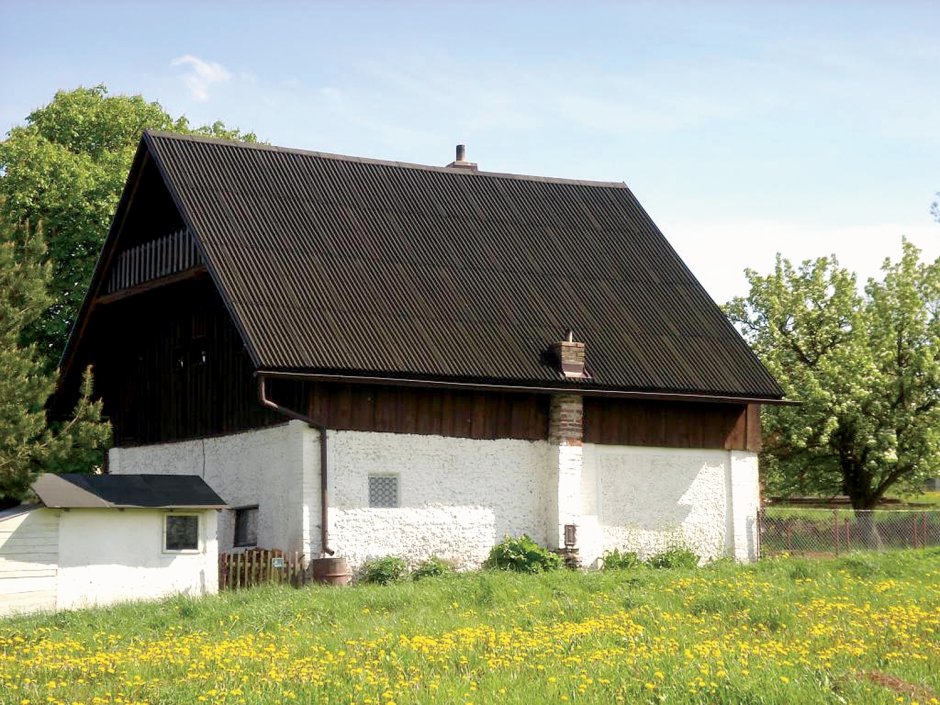 Черный дом с шиферной крышей