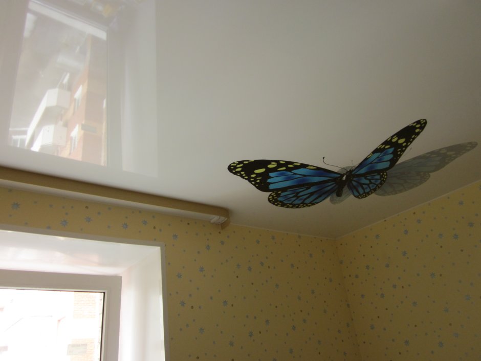 Бабочка 3д на натяжном потолке