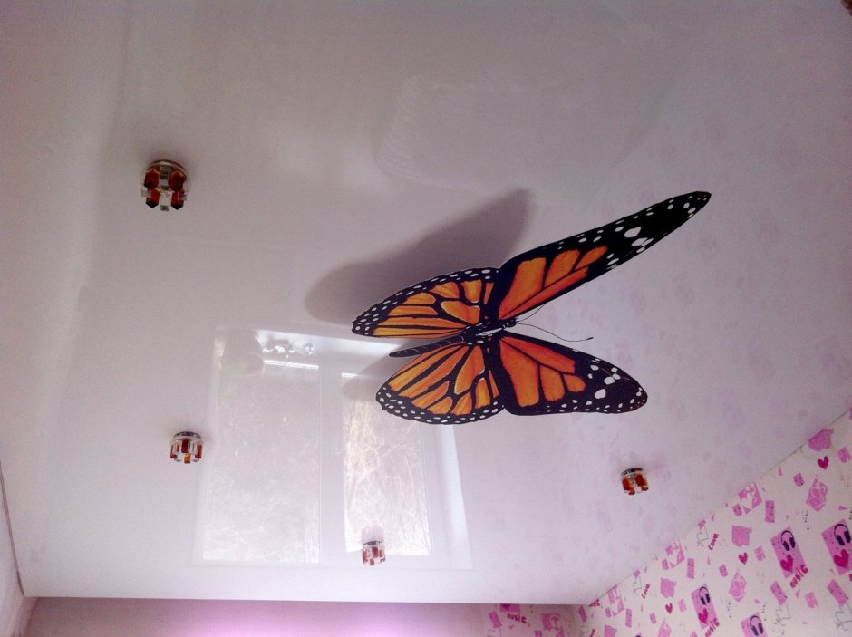 Фотопечать на потолке бабочки