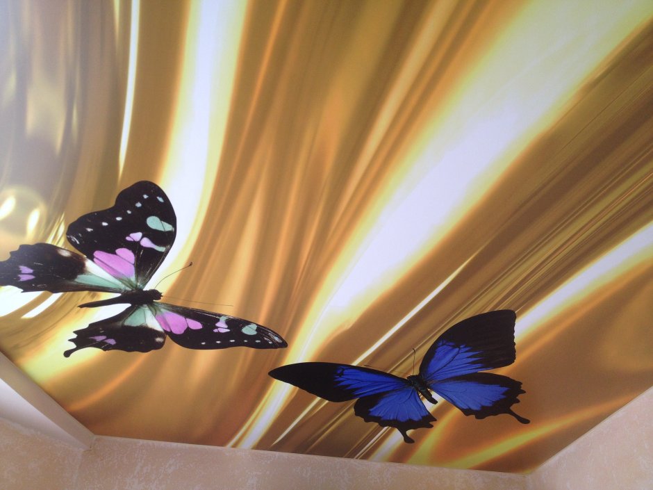 Натяжные потолки с фотопечатью бабочки (48 фото)