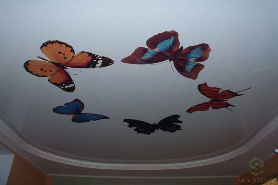 Фотопечать цветы и бабочки на потолке