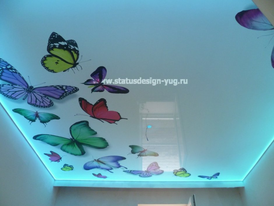 Натяжные потолки с фотопечатью бабочки