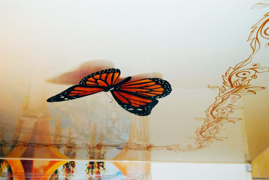 Натяжной потолок с бабочками