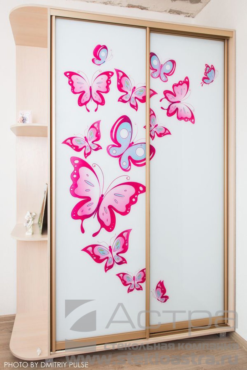 шкаф купе с рисунком бабочки на зеркале