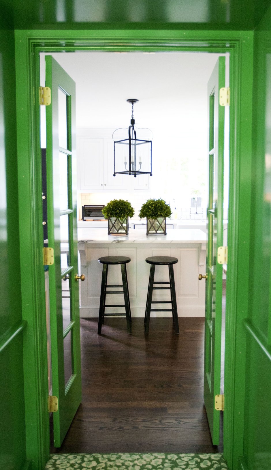 Входная дверь в дом зеленого цвета