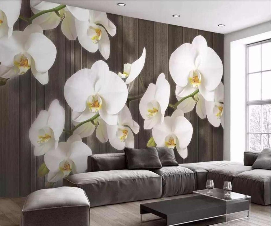 Орхидея фон на стену
