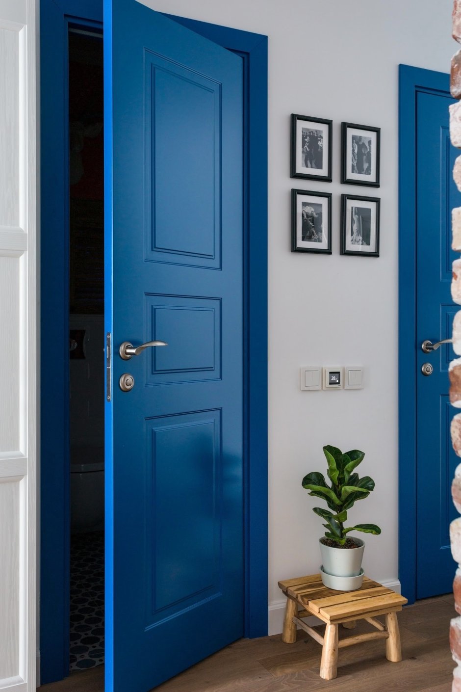 Синяя дверь в доме (96 фото)