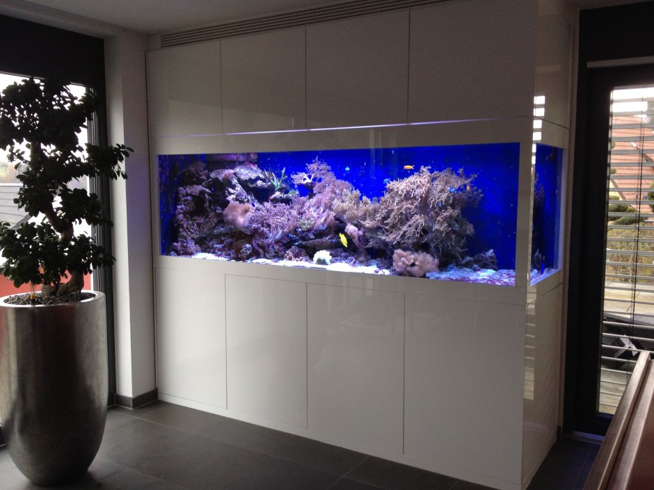 Мебель со встроенным аквариумом