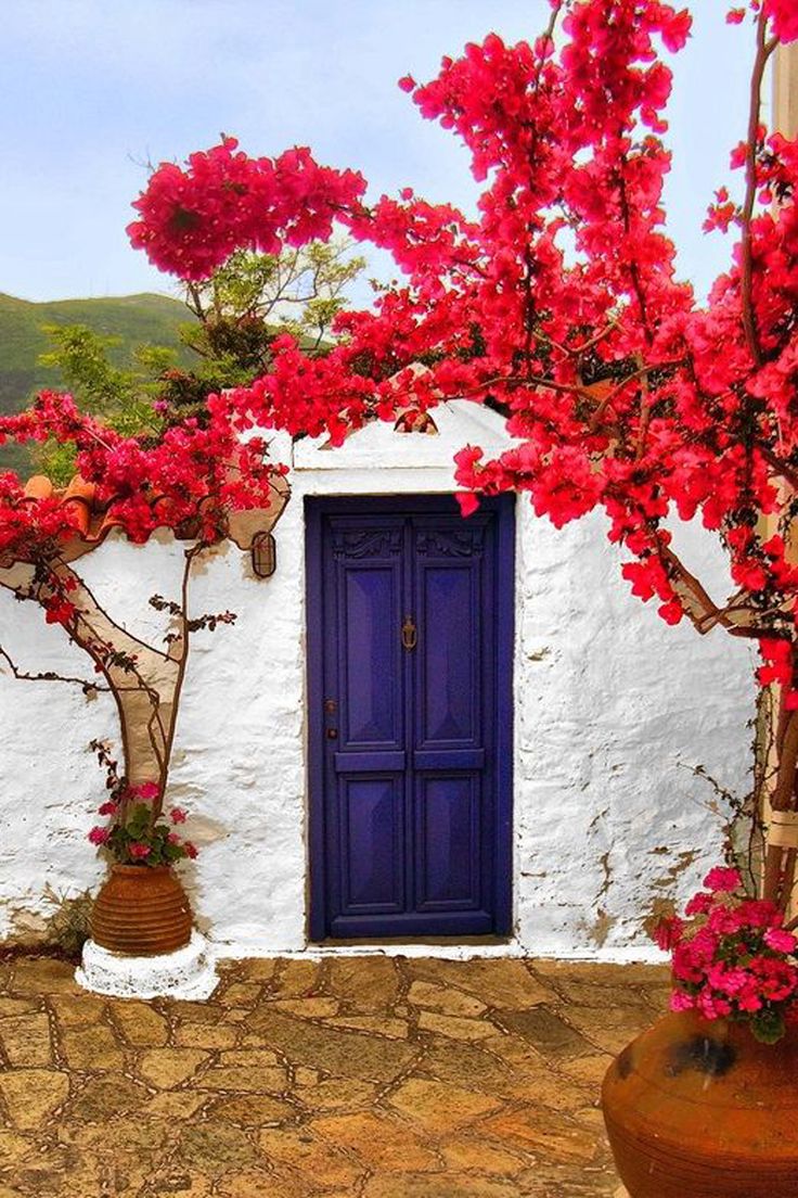 Греция бугенвиллия голубая дверь