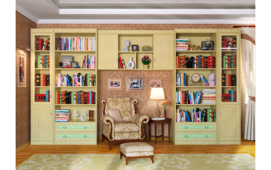 Книжный шкаф за диваном в гостиной