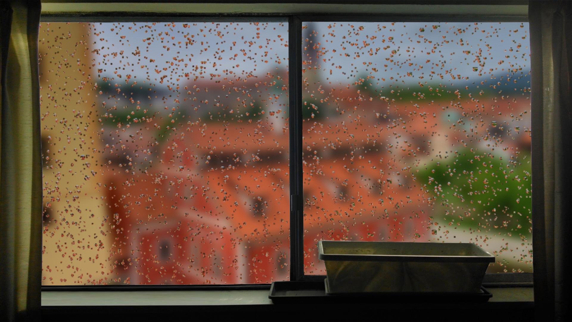 А за окном то дождь слушать. Дождь в окне. Дождь за окном. Фон окно дождь. Дом окно дождь.