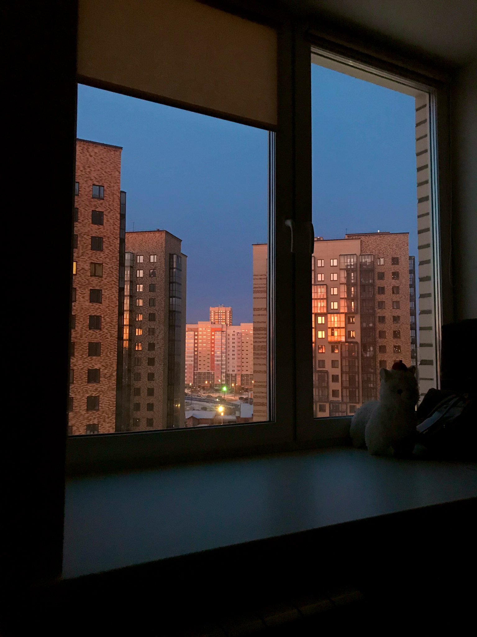 вид из окна город москва
