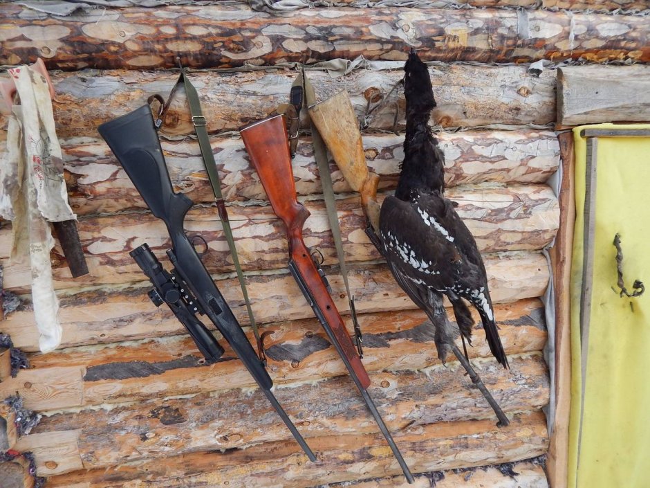 Hunting Simulator 2 оружие