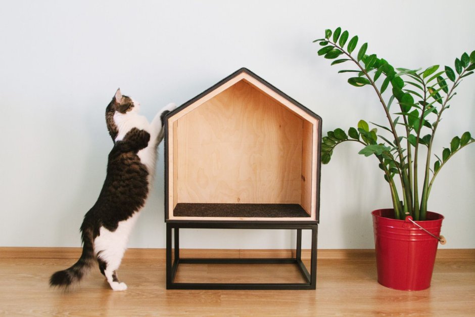 Минималистичный домик для кота