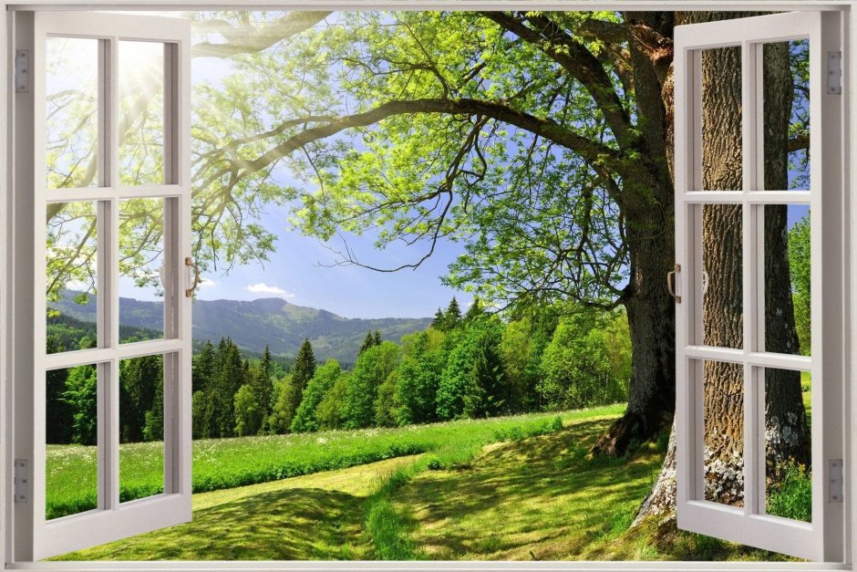 Окно с видом на природу