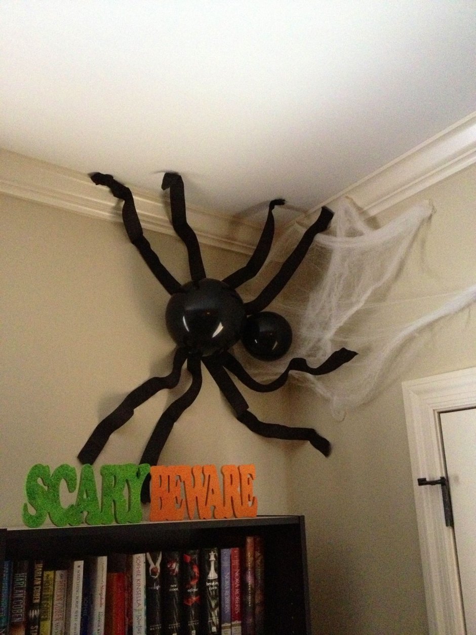 Гигантский паук в доме