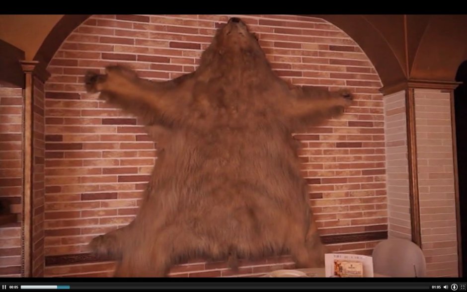 Шкура медведя на стене в интерьере