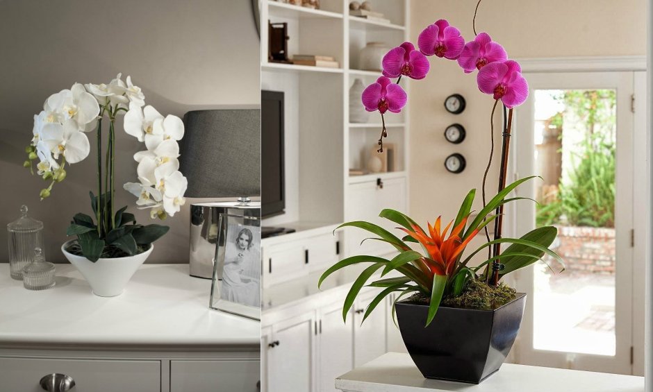 Орхидеи в интерьере кухни