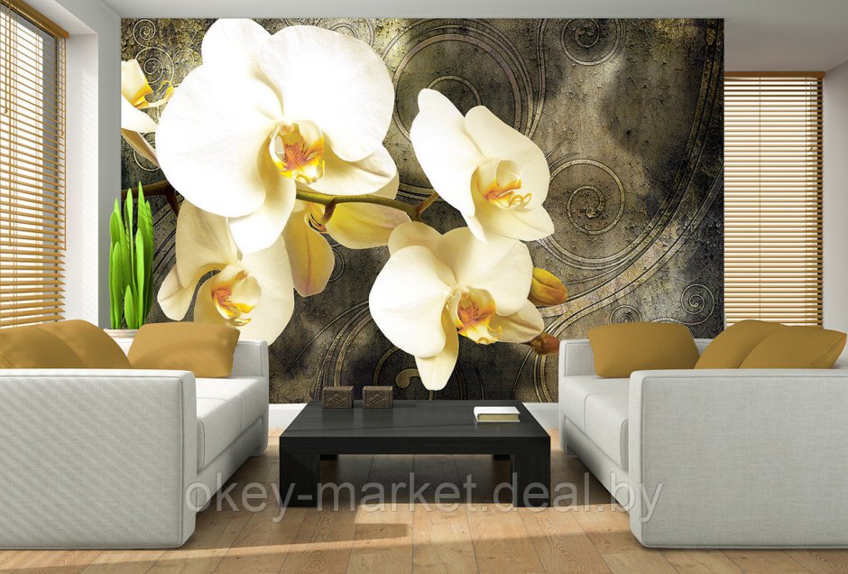 3d фотообои на стену Орхидея
