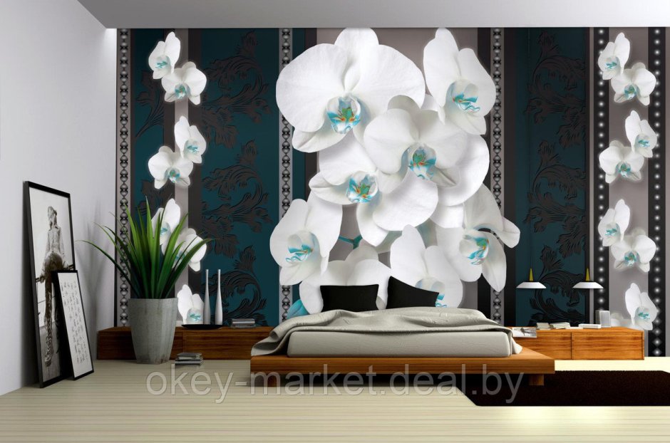 Обои с орхидеями для стен