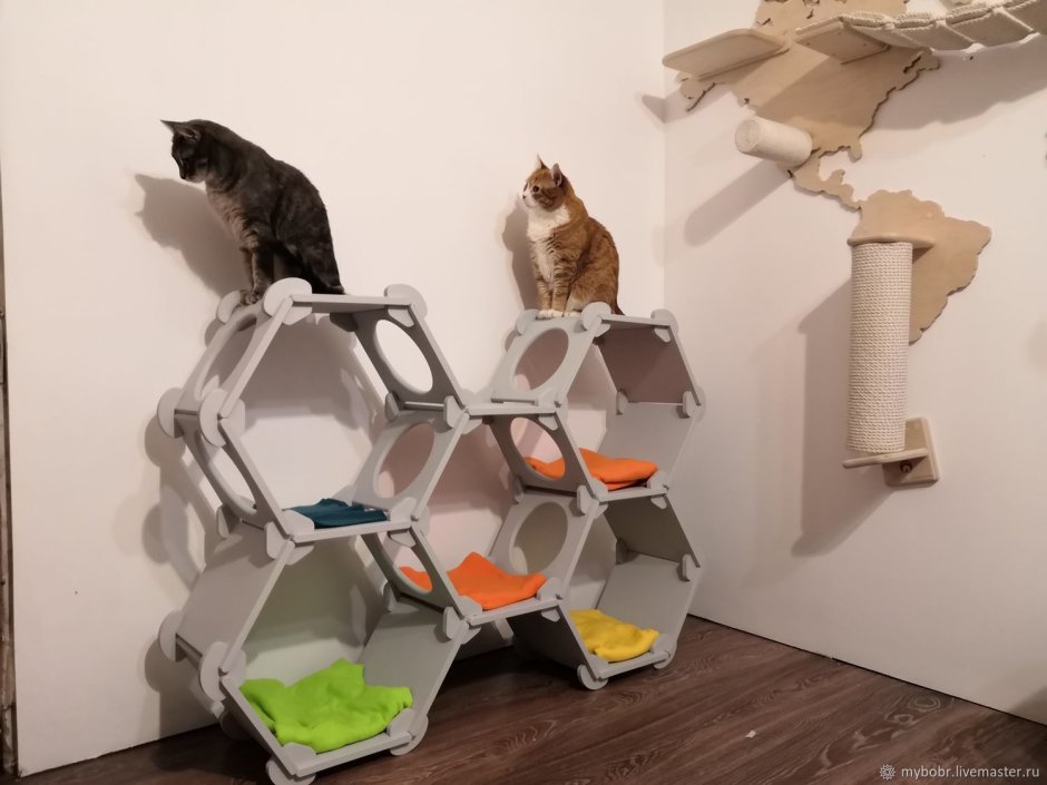 Настенный домик для кошки