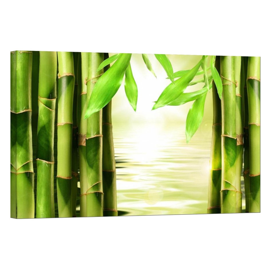 Панель из натурального бамбука