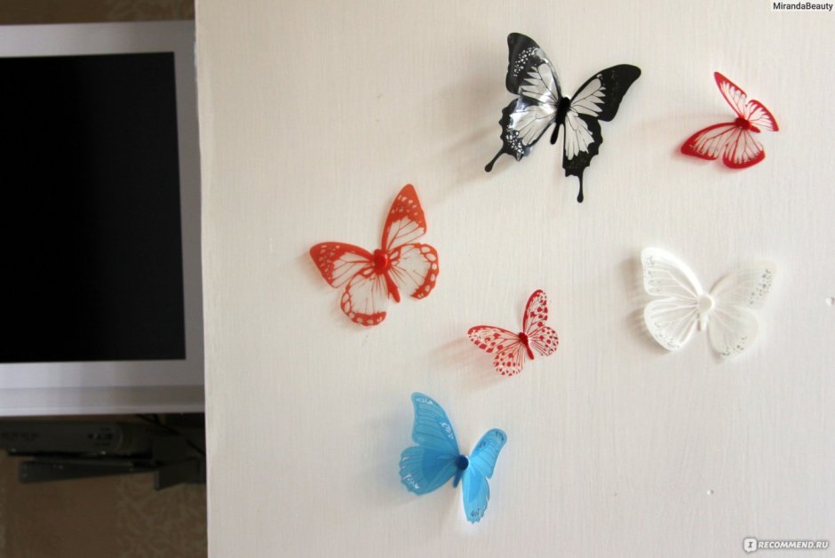 Стильная комната с бабочками