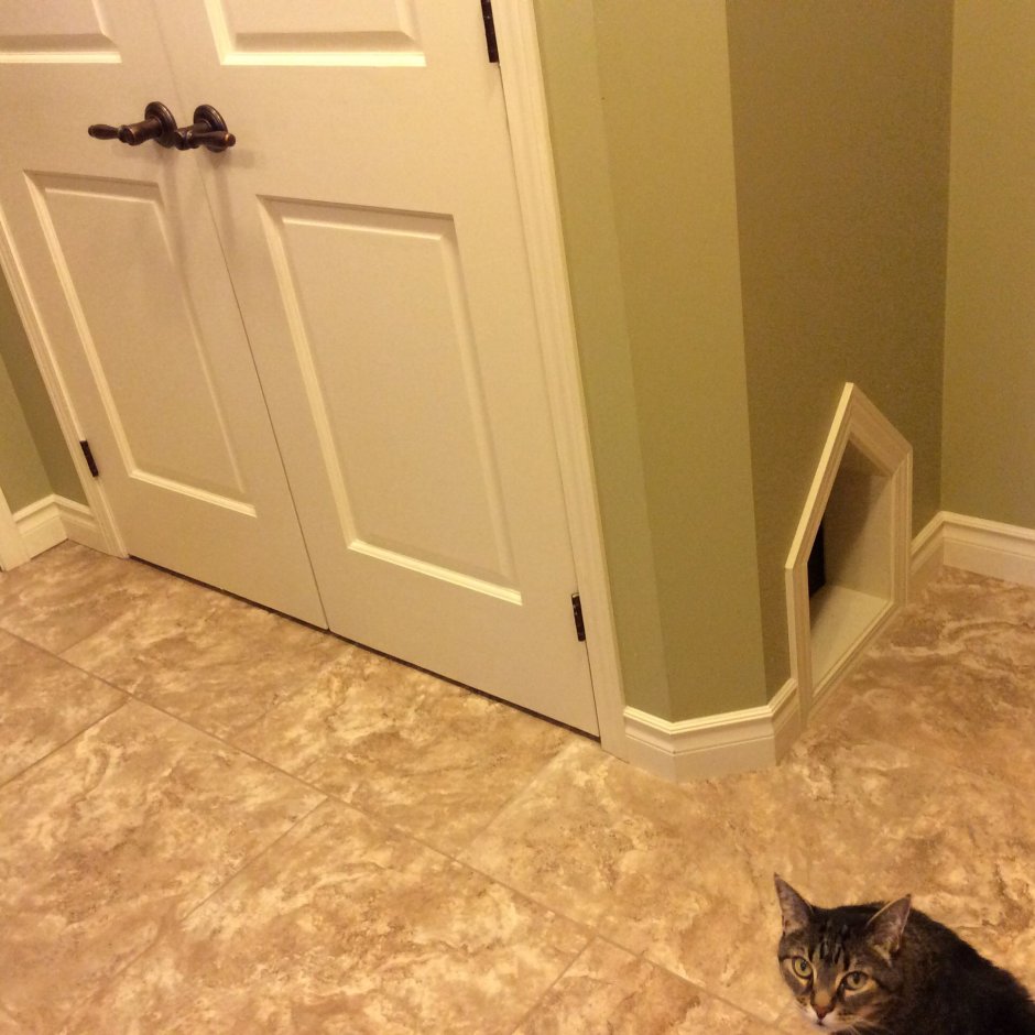 Отделка коридора в квартире от кошек