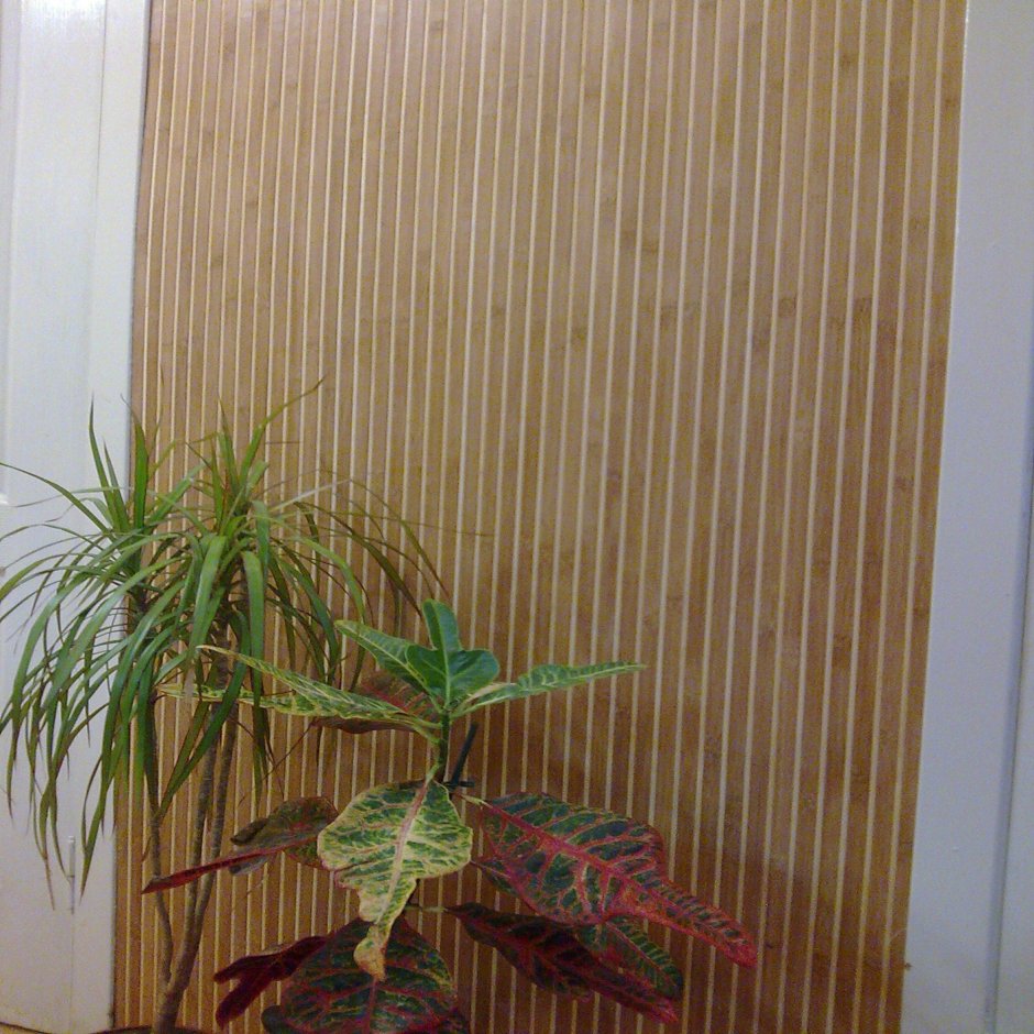 Отделка комнаты бамбуком