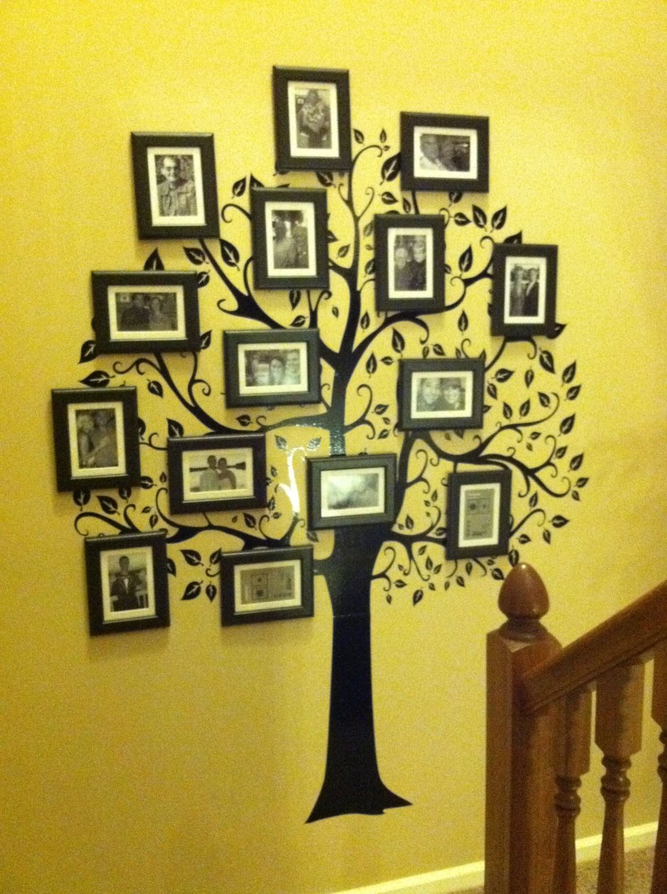 Фамильное дерево на стене