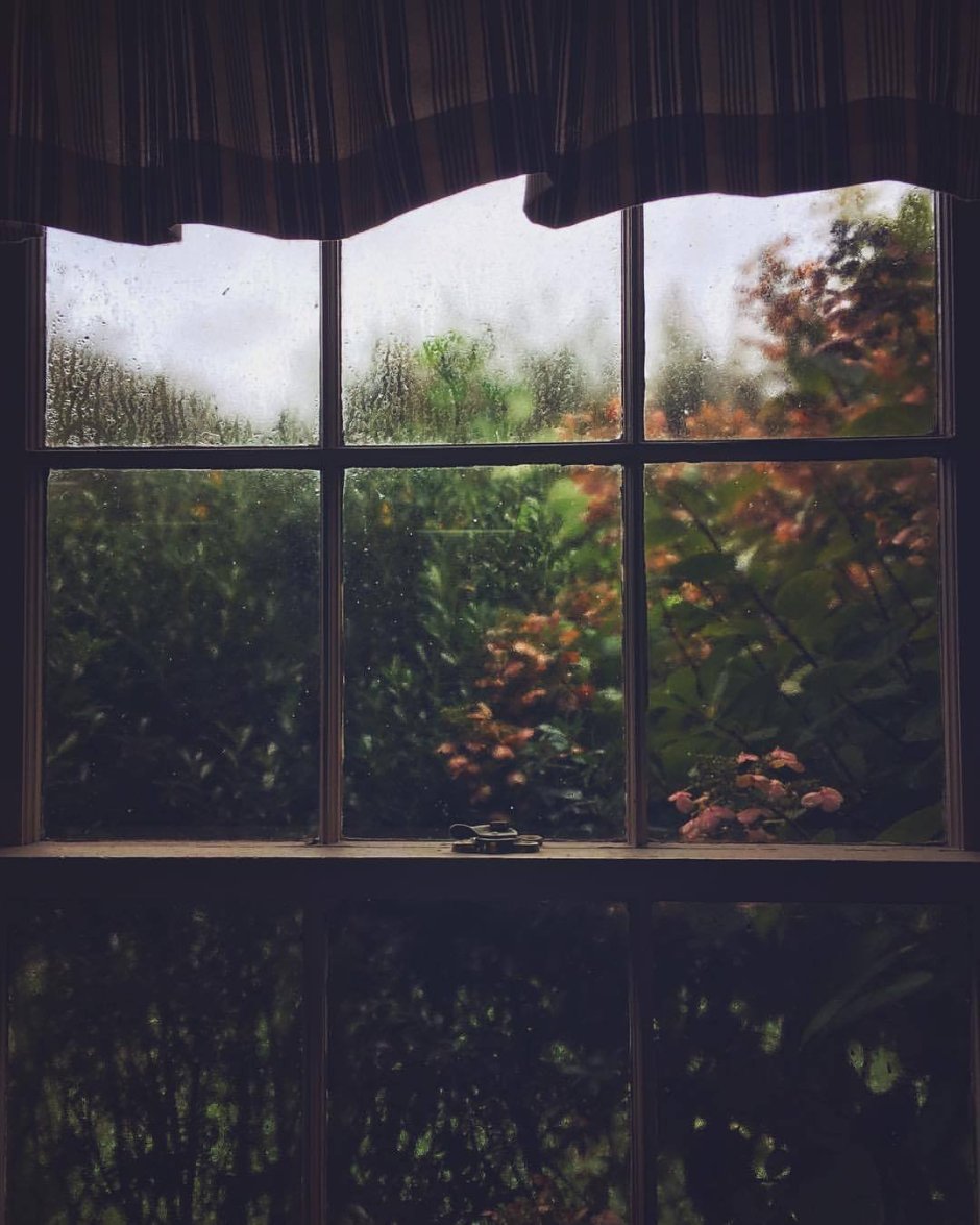 Дождливый пейзаж за окном