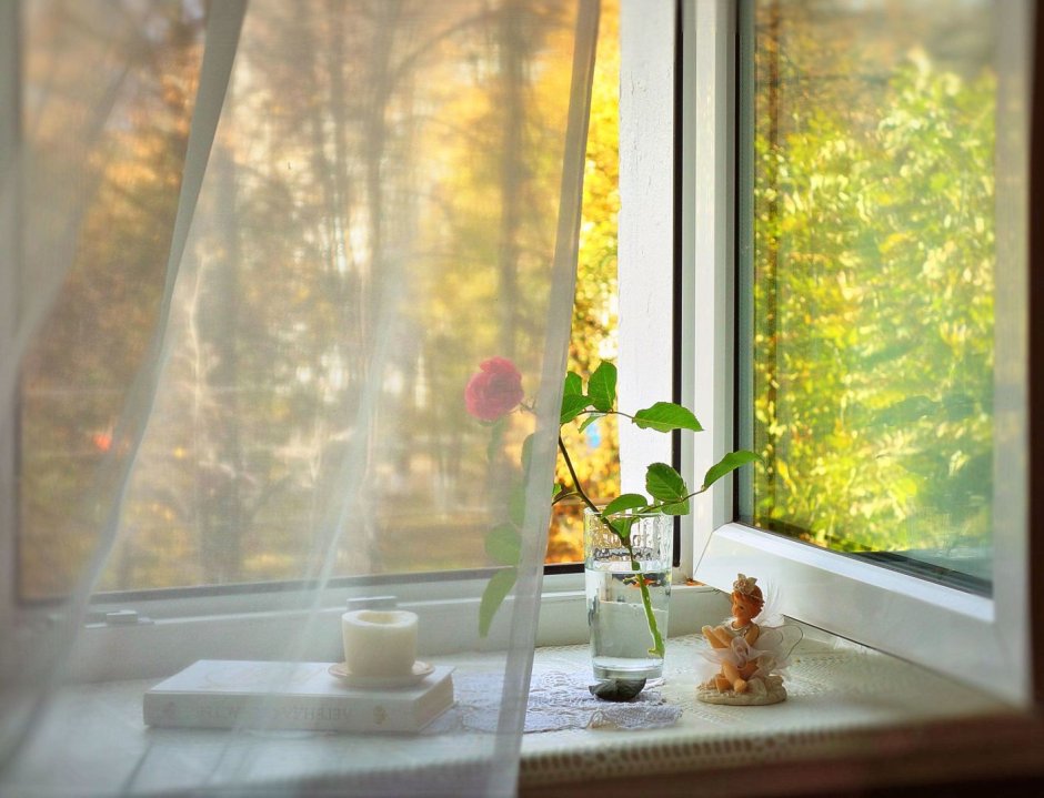 Фото осень за окном нежность