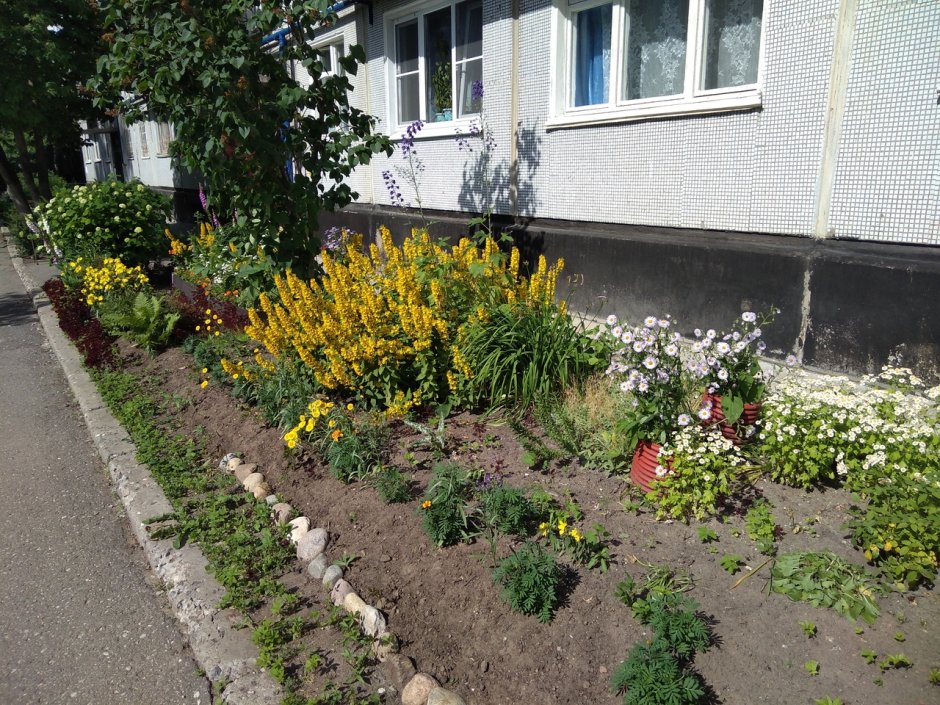 Клумба под окном