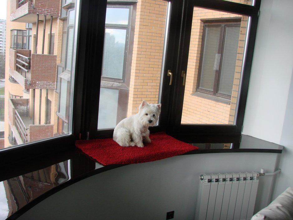 Окно для собаки на балконе
