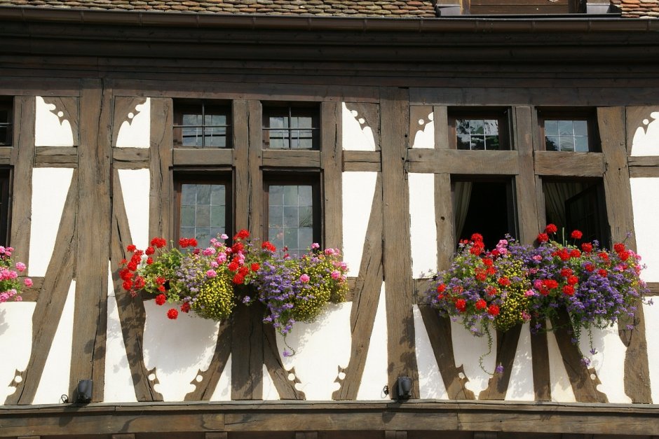 Домики цветы фасад