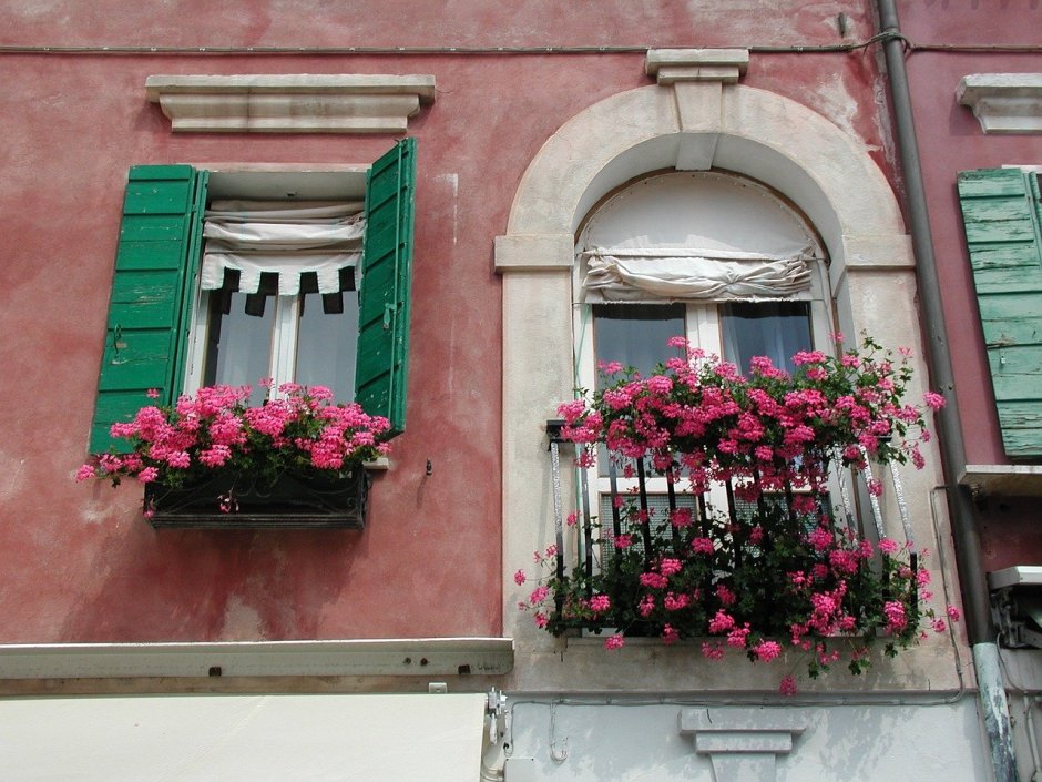 Цветы на фасаде окон