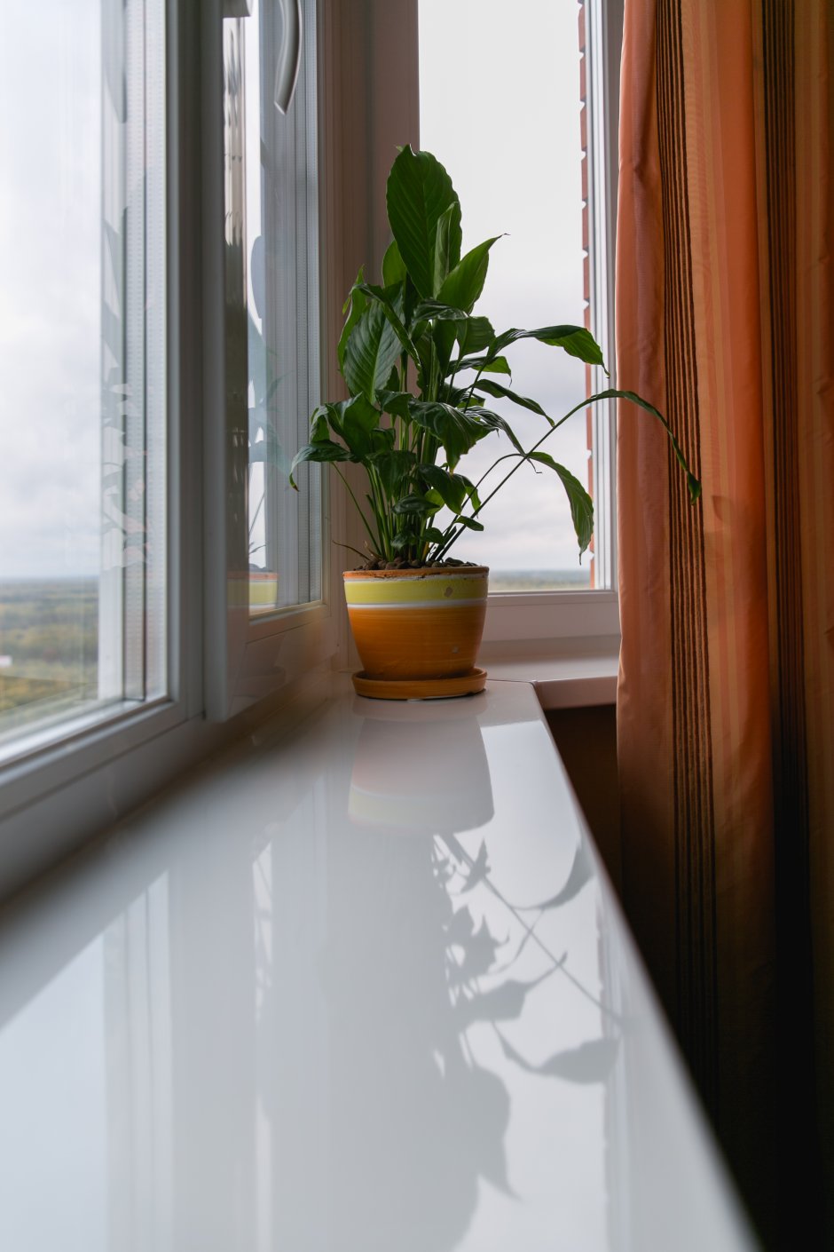 Тонированные панорамные окна