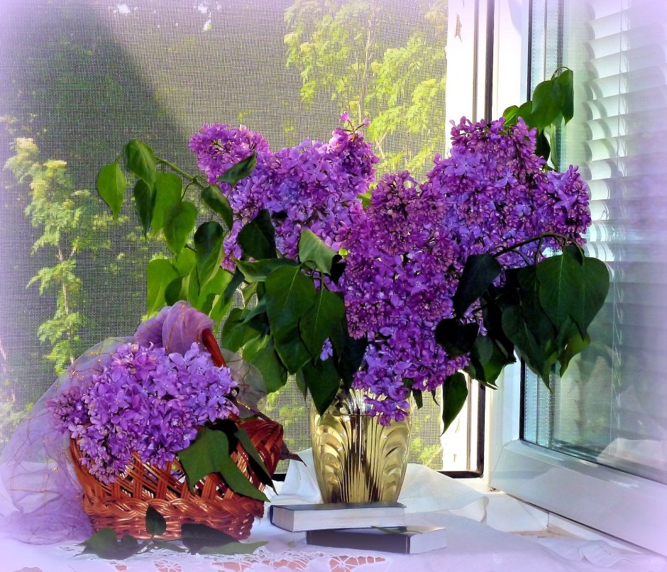 Элла Гоник «сирень»