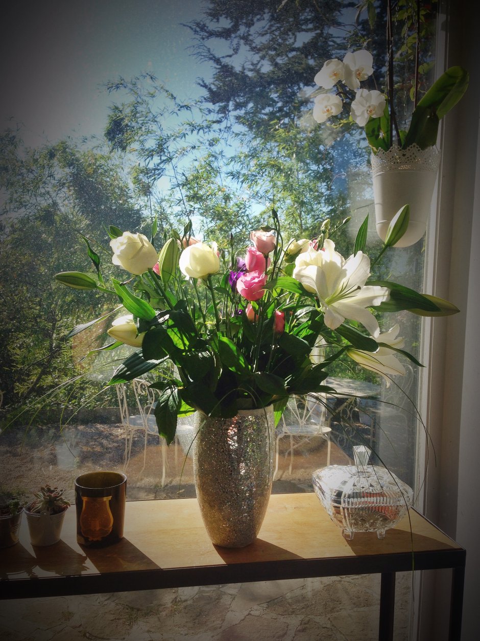 Цветы домашние в вазах