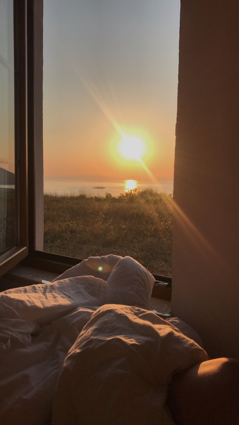 Утренний вид из окна