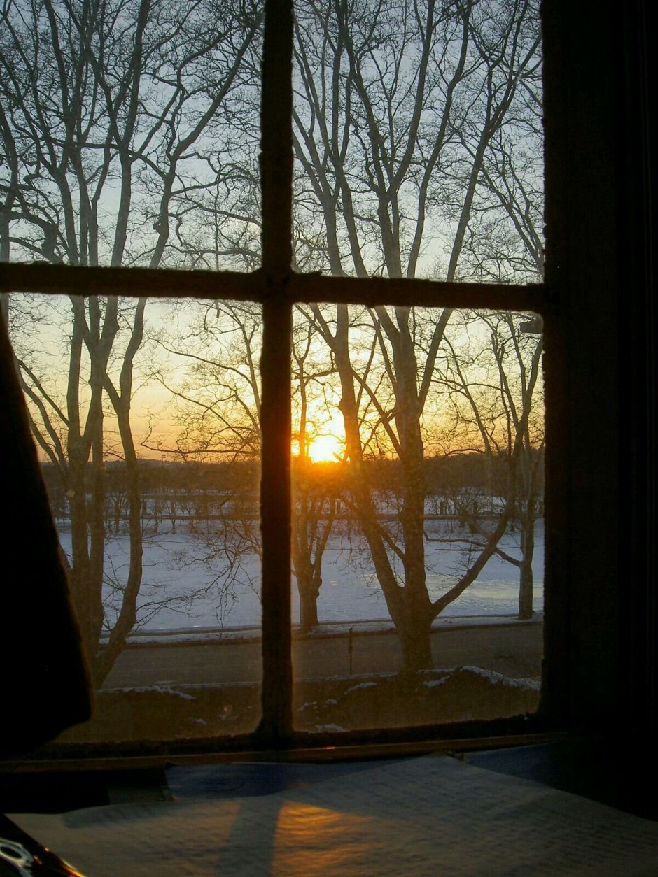 Зима из окна