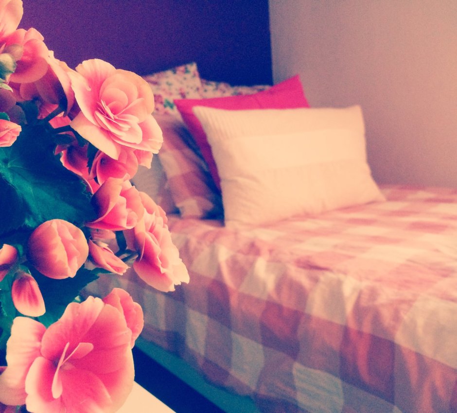 Цветы на кровати или на столе у девушки