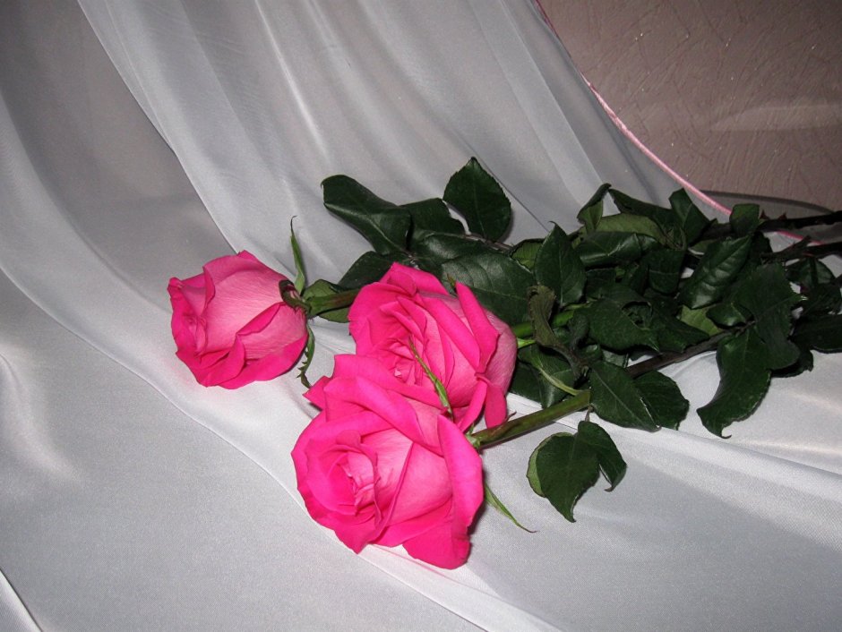 Красивый букет роз в квартире