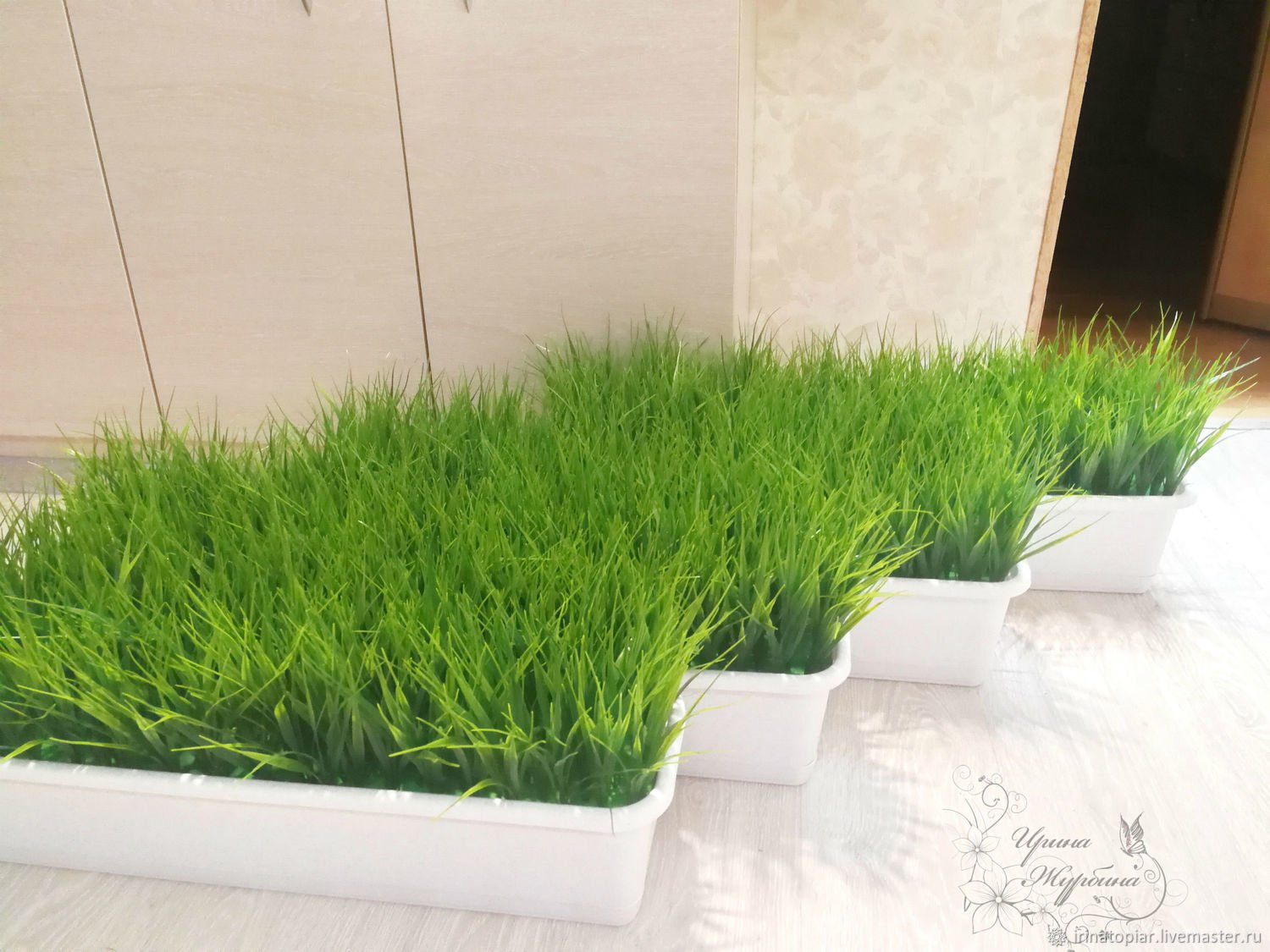 декоративная трава для домашнего интерьера