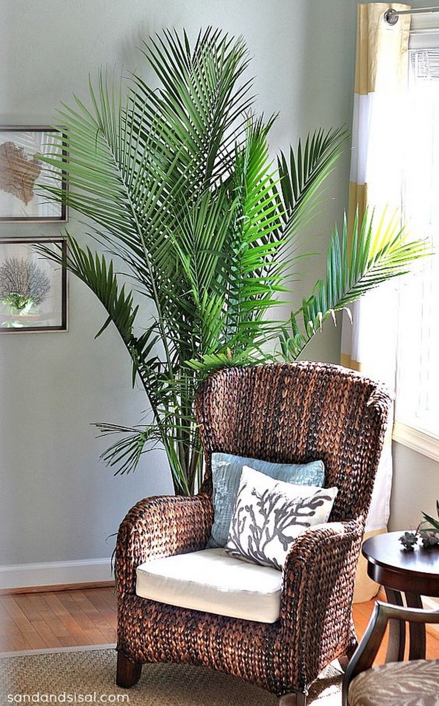 Искусственные пальмы для домашнего интерьера (43 фото)