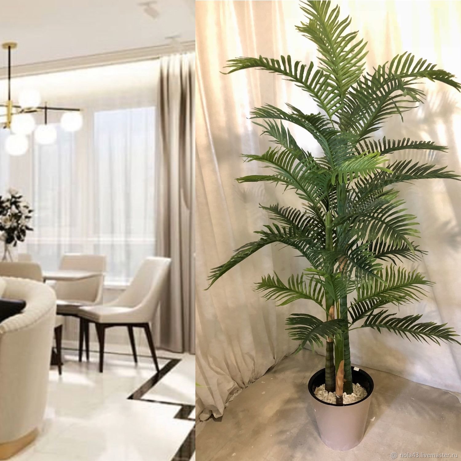 пальма в интерьере квартиры