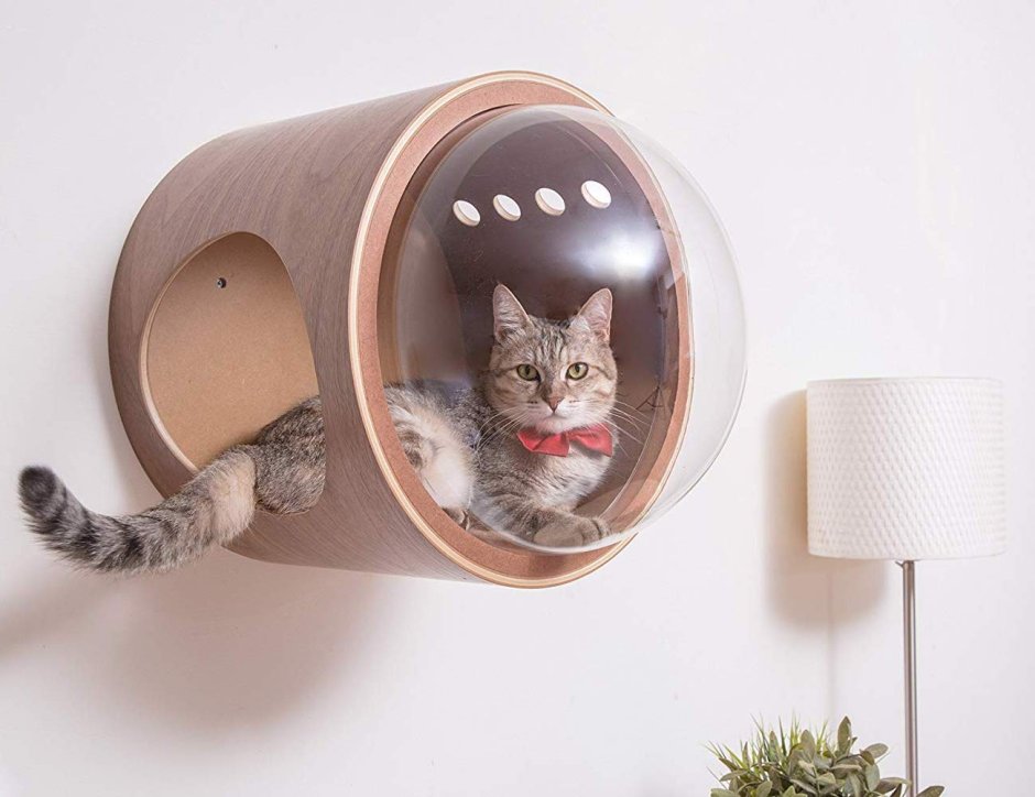 Стеклянные домики для котов