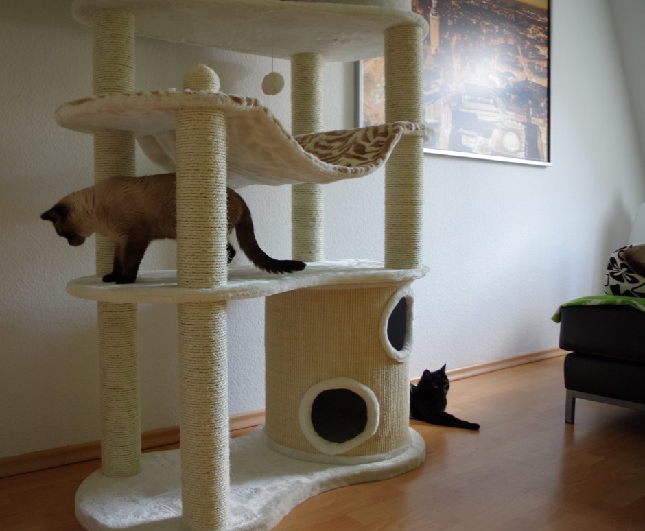 Огромные домики для кошек