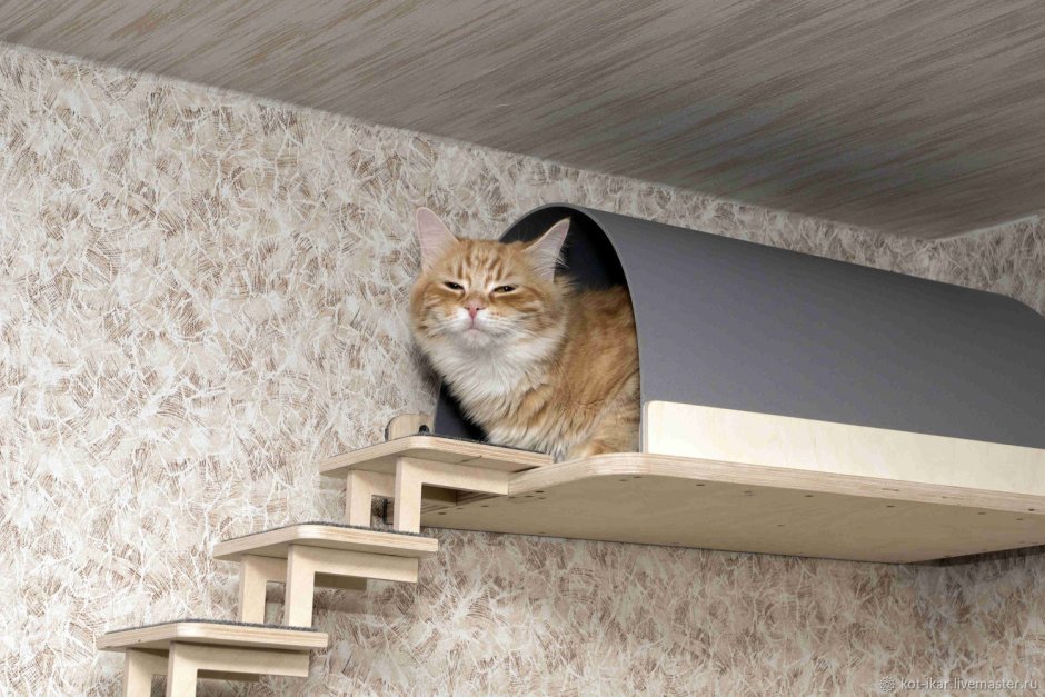 Стильные домики для кошек